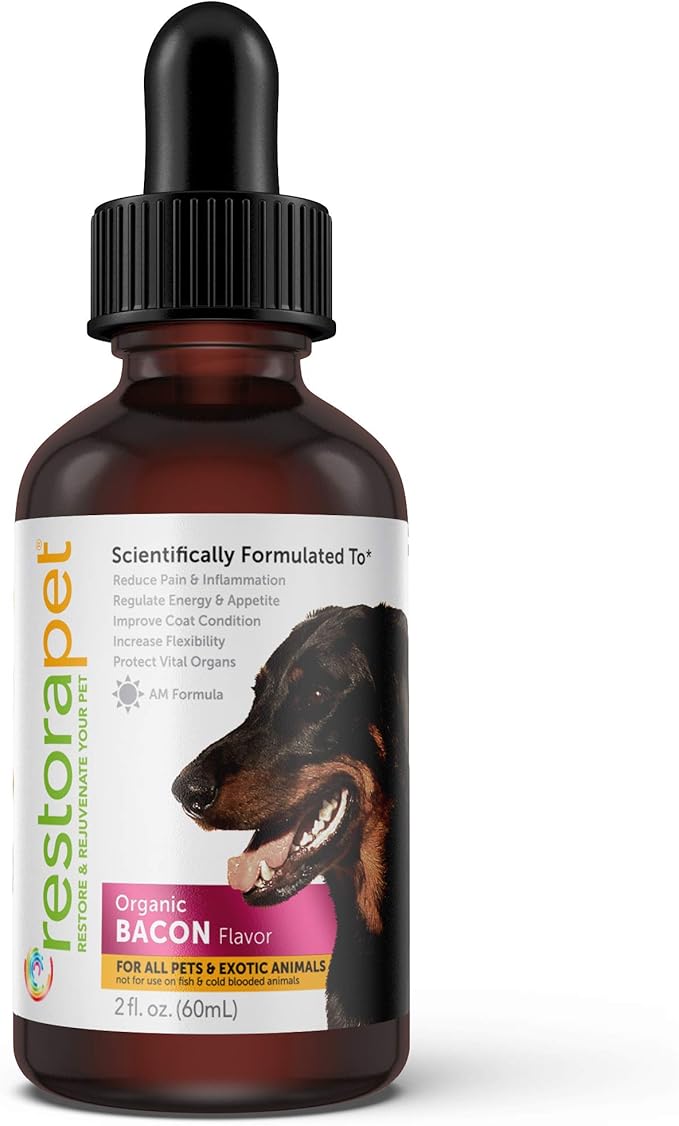 RestoraPet 1-Pack Dog & Cat Bacon Liquid Multivitamin | Dog Arthritis Pain Relief | Hip & Joint Vitamins for Dogs - Anti Inflammatory Supplement for Dogs & Cats | Plant-Based, Non-GMO, Vet Approved