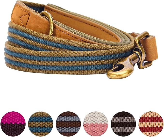 Blueberry Pet Polyester Fabric Webbing and Soft Genuine Leather Dog Leash with Soft & Comfortable Handle, 4 ft x 3/4", Navy and Olive, Leashes for Dogs