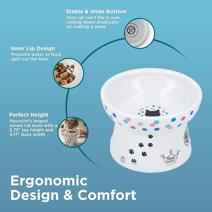 Necoichi Raised Cat Food Bowl – Ceramic Elevated Cat Bowl for Whisker & Neck Fatigue, Dishwasher Microwave Safe – Non-Slip & Anti Vomiting Ergonomic Design (Colorful Dots, Regular, 1 Cup Capacity)