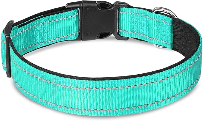 Joytale 12-16 inches Dog Collar and 6FT Leash, Reflective Soft Neoprene Padded Pet Collars and Leashes for Small Dog