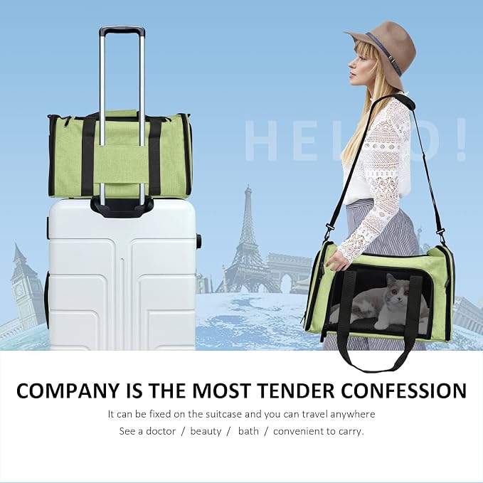 Henkelion Pet Carrier, Small/Medium Up to 15 lbs, Airline Approved, Green