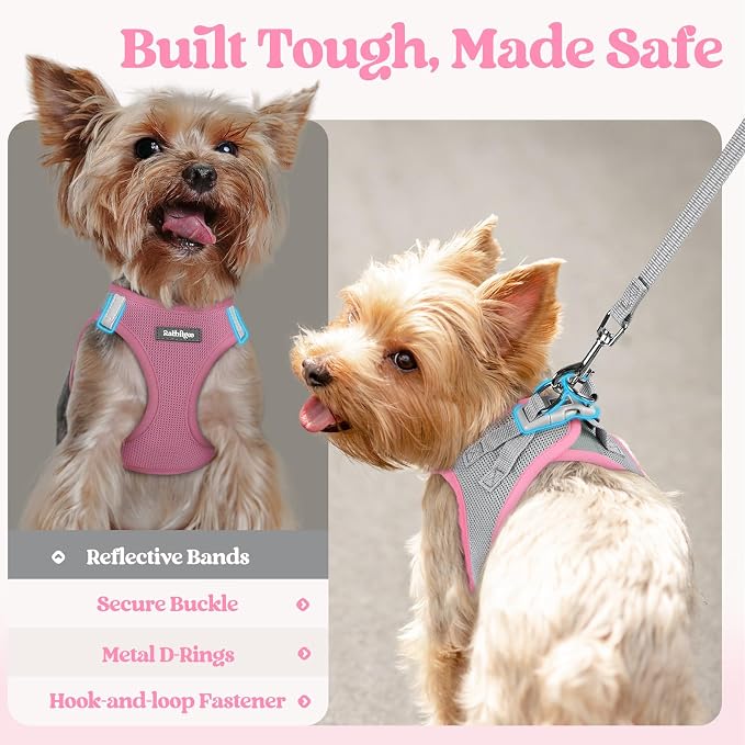 rabbitgoo Dog Harness Small Sized and Leash Set, Step-in Puppy Pet Vest | Light, Soft, Breathable Air Mesh, Easy on and Remove with Hook & Loop, Secure Reflective for Walking, Light Pink & Gray XS