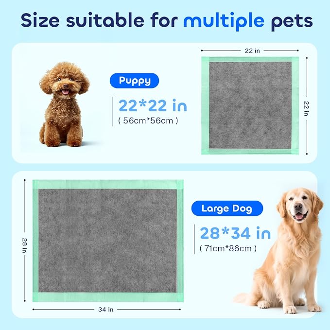 Pawtasy Charcoal Dog Pee Pads, 100 Count,22" x 22" Small Disposable Puppy Training Pads with Bamboo Charcoal Odor Control, 5-Layer Super Absorbent & Leak-Proof Pet Potty Pads for Dogs, Cats & Pets