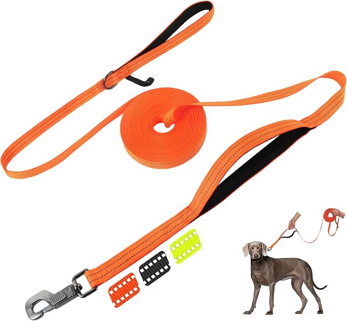 Fida Obedience Recall Training Agility Lead, 30FT Long Dog Leash, Orange | 33FT & 50FT, Traffic Handle, Soft Padded, Reflective for Night Safety, Durable Nylon Dog leash for Small Medium Large Breeds