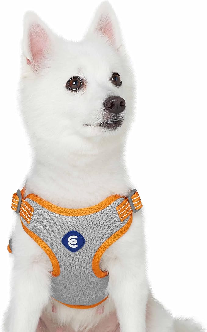 Blueberry Pet Essentials Back to Basics Reflective Dog Harness Vest, Apricot, Small, Adjustable Harnesses for Dogs
