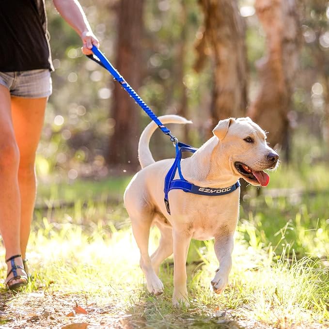 EzyDog Zero Shock - Bungee Dog Leash, Shock Absorbing - 48-Inch, Gray | Padded Neoprene Grip, Traffic Handle, Reflective Stitching, Strong for All Size Pullers, 1" Soft Touch Webbing for Durability