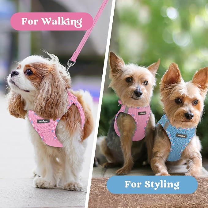 rabbitgoo Step-in Small Dog Harness, Puppy Vest for Small Sized Pet | Easy Put on and off, Lightweight, Soft, Breathable Quick-Dry Air Mesh for Comfortable Secure Walking, Pink & Plaid Trim XS