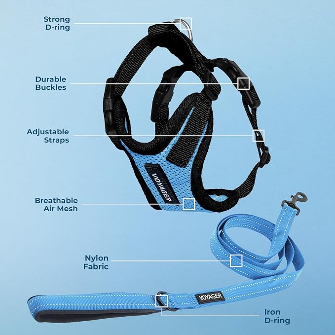 Best Pet Supplies Voyager Step-in Lock Pet Harness w Reflective Pet Leash Combo Set with Neoprene Handle 5ft - Supports Small, Medium and Large Breed Puppies/Cats - Baby Blue/Black Trim, XS