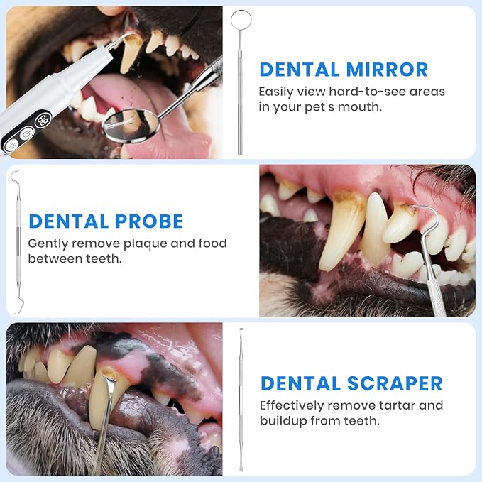 Dog Plaque Remover for Teeth,with UV Sanitizing Chamber | Stores & Sanitizes Metal Tips After Use,6 Cleaning Modes for Different Needs,dog teeth cleaning,plaque remover for teeth
