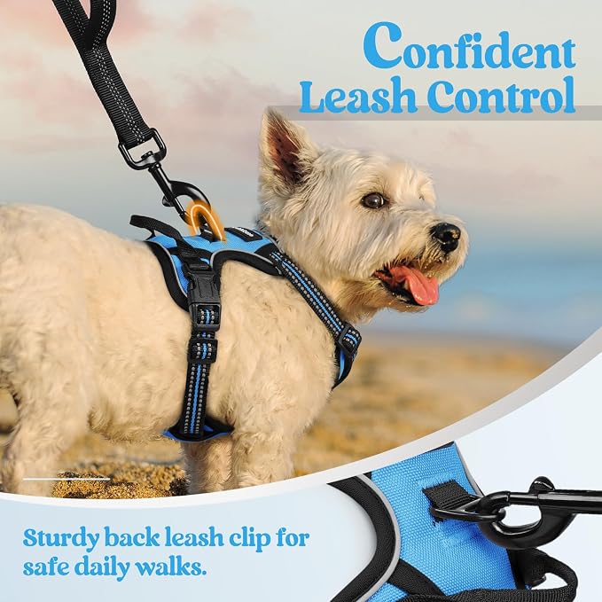 rabbitgoo Dog Harness, No Pull for Small Dogs with 2 Leash Clips, Pet Vest | No Choke with Handle, Adjustable Soft Padded, Reflective, Easy Control for Walking, Blue, X-Small