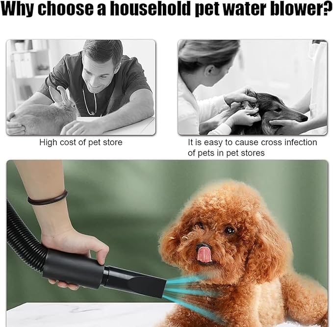OKYUK Dog Blow Dryer, 2.6HP 2000W High Velocity Professional Pet Grooming Dryer, Adjustable Speed and Temperature Control Pet Blower Dryer with 4 Different Nozzles