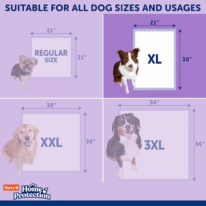 Hartz Home Protection Super Absorbent Odor Eliminating Lavender Scented No Leak Dog Pads,XL 30 Count (Pack of 2)