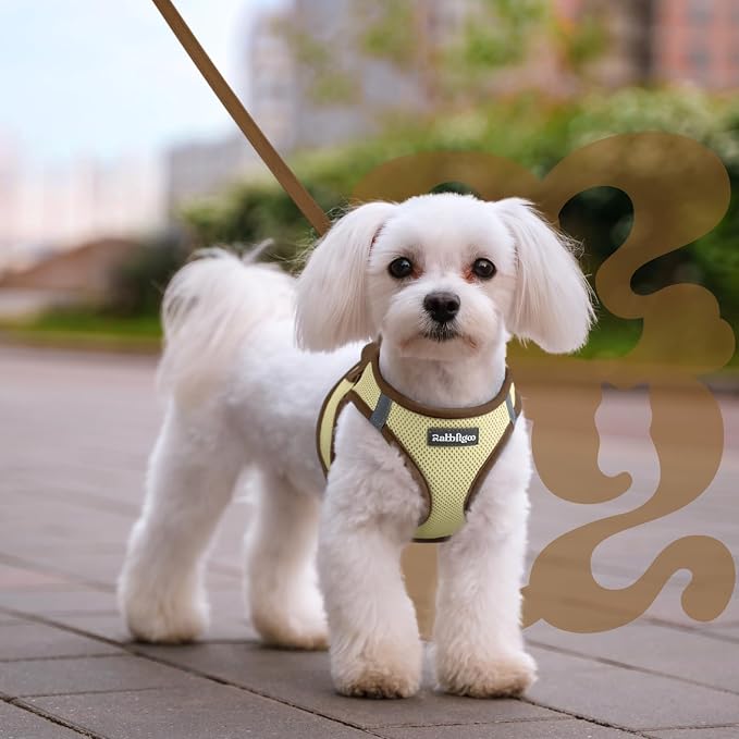rabbitgoo Dog Harness Small Sized and Leash Set, Step in Soft Vest | Breathable Mesh, Easy Wear with Hook & Loop, Light and Reflective for Walking, Multi-colored, Beige & Coffee, L