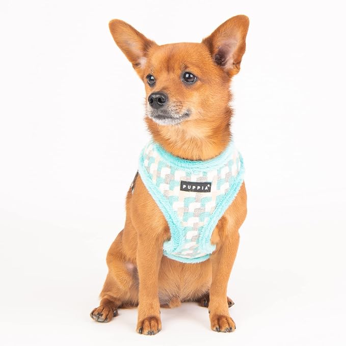 Arden Harness A - Aqua - S