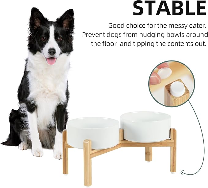 Havniva 7.3” Dog Bowls Elevated Ceramic Dog Food and Water Bowl Set, Double Raised Dog Water Bowl with Stand Non-Slip Rubber Base Large Capacity Feeding Pet Food Bowl for Medium Dogs