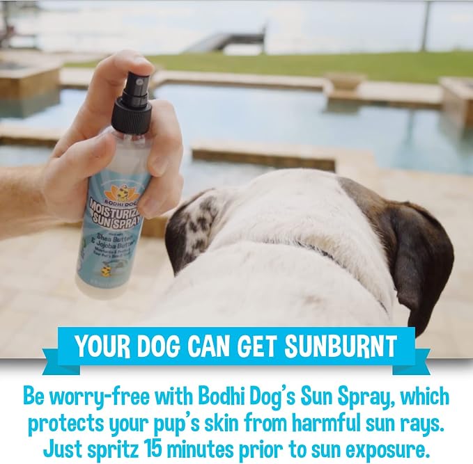 Bodhi Dog Sunscreen SPF 30+ Moisturizing Pet Sun Spray - Safe for Dogs, Cats & Horses - Natural Protection for Skin, Coat, Nose, Ears - Made in USA (8 Fl Oz)