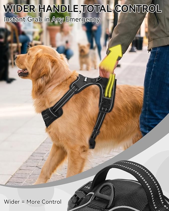Joytale No Pull Dog Harness & Seat Belt, Easy On 3-Buckle, S, Black | Front Clip Reduces Pulling, Escape-Resistant Design, Adjustable Fit, Soft Padding for Comfort, Secure Tether for Safer Travel