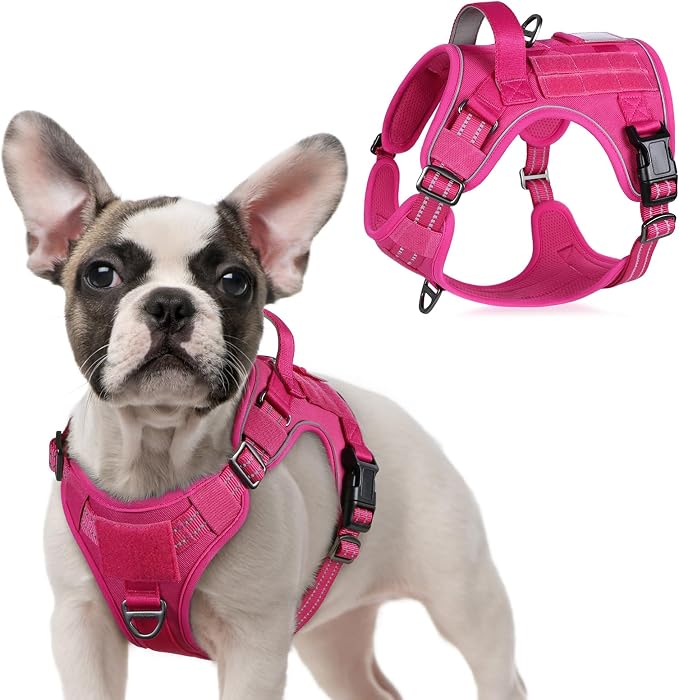 rabbitgoo Tactical Dog Harness for Small, No Pull Military Service Vest | Molle & Handle, Heavy Duty, Adjustable, Reflective Straps, Easy Control for Training Walking, Rose Red, Small