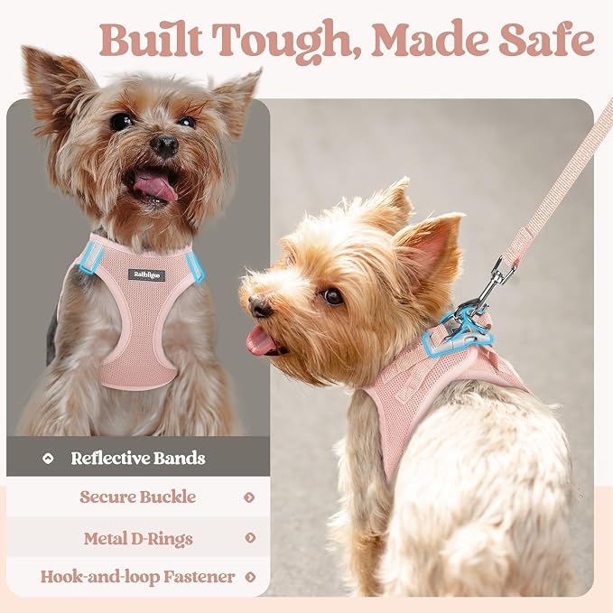 rabbitgoo Dog Harness Small Sized and Leash Set, Step-in Puppy Pet Vest | Light, Soft, Breathable Air Mesh, Easy on and Remove with Hook & Loop, Secure Reflective for Walking, Pink XXXS
