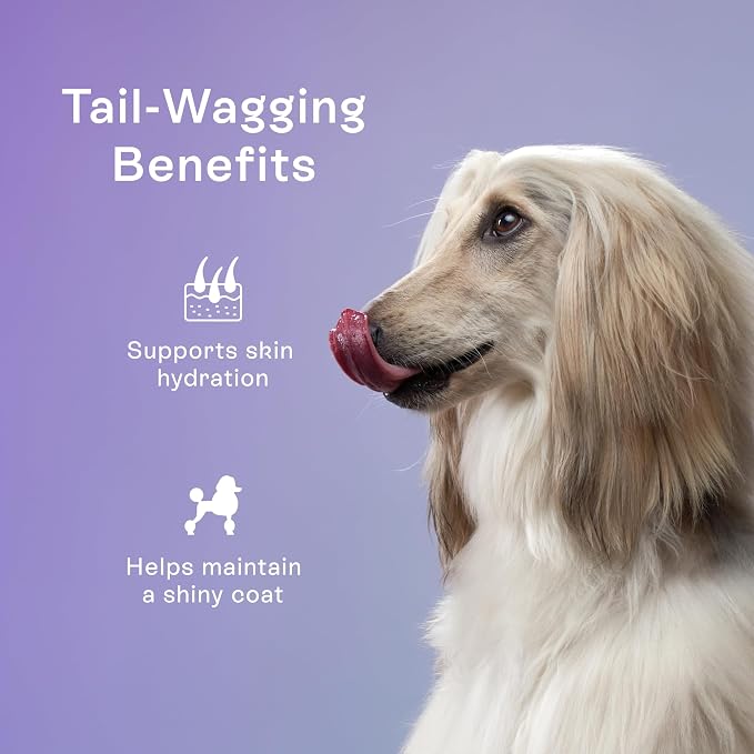 PawCo Dog Food Toppers for Picky Eaters, Skin & Coat – Supports Healthy Skin & Shiny Fur – Functional Dog Food Flavor Enhancer with Omega-3, DHA, Pumpkin & Carrots – Magic Topper – 5.6oz