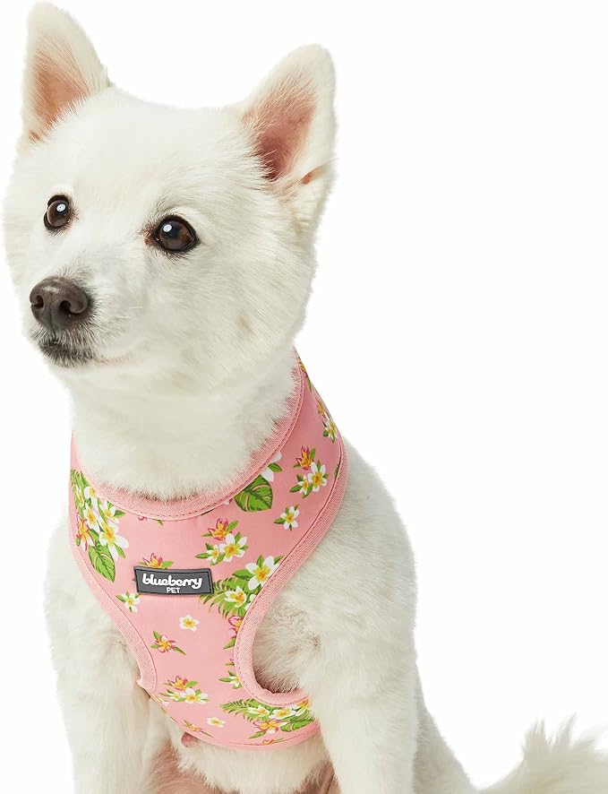 Blueberry Pet Summer Sparkle Dog Harness Vest, Adjustable X-Small Size, Chest Girth 13" - 16", Tropical Flower Baby Pink, Hibiscus Floral Print Pet Harness