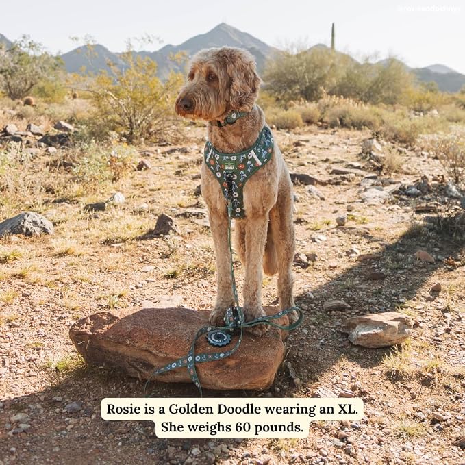 Lucy & Co. x Parks Project Power to the Parks No-Pull Dog Harness, Adjustable Front Clip Harness with Comfort Padding, X-Small
