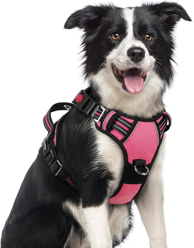 rabbitgoo Dog Harness Medium Sized, No Pull 3 Buckles Easy On & Off | Soft Padded, Walking with Control Handle, Adjustable and Reflective, Pink, Medium