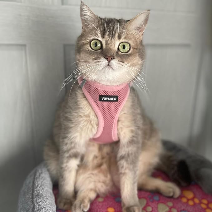 Voyager Step-in Pet Harness - All Weather Mesh, Adjustable Step in Harness for Cats and Dogs by Best Pet Supplies - 307S Pink, S