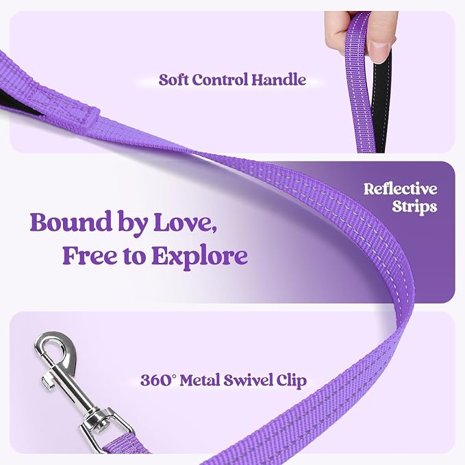 rabbitgoo Dog Harness Medium Sized and Leash Set, Step-in Puppy Pet Vest | Light, Soft, Breathable Air Mesh, Easy on and Remove with Hook & Loop, Secure Reflective for Walking, Purple L