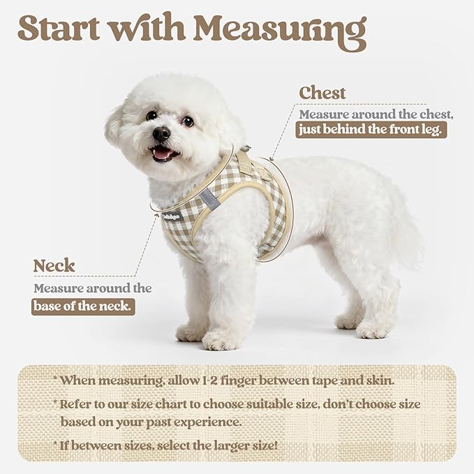 rabbitgoo Dog Harness Small Sized and Leash Set, Step-in Puppy Pet Vest | Light, Soft, Breathable Air Mesh, Easy on and Remove with Hook & Loop, Secure Reflective for Walking, Beige Check XS