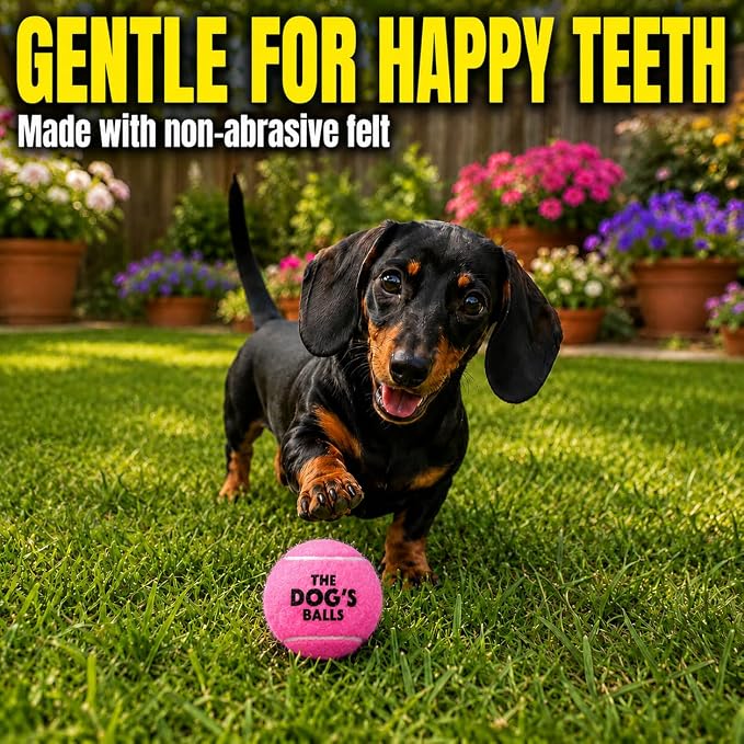 The Little Dog’s Balls Small Dog Tennis Balls 6-Pack Pink Floats in Water | Our fetch balls combine non-abrasive felt exterior and a thicker rubber core Durable Dog Toy for Outdoor Play & Training