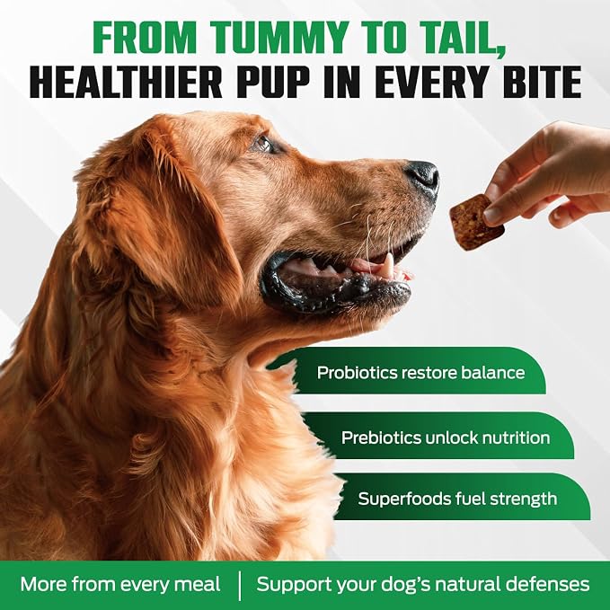 K10 Probiotic Chews for Dogs, Probiotic & Prebiotic Formula, 10 Count