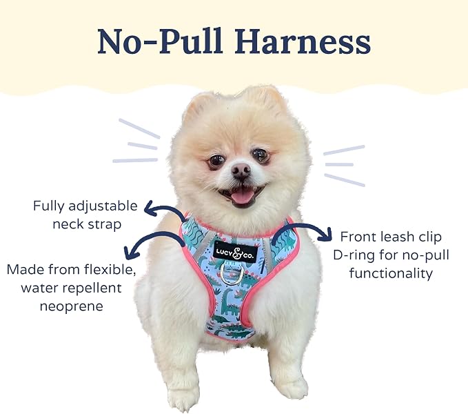 Lucy & Co. Cute No-Pull DinoROAR! Harness - Stop Pulling & Walk Easy - Harness Available in XS-XL for Small, Medium, and Large Dogs - DinoROAR! (Medium)