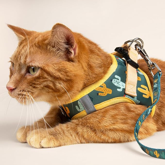 Lucy & Co. Looking Sharp Step-in Cat Harness & Leash Bundle – Reflective, Breathable & Adjustable Harness for Cats, Kittens & Small Dogs, Lightweight & Secure and Dual Leash Clips – Large