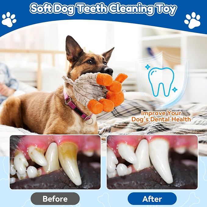 loncoldy Squeaky Dog Toys, Tough Chew Toys for Dogs, Crinkle Interactive Squeaky Stuffed Dog Toy for Small Medium Large Breeds, Plush Dog Toy to Keep Them Busy, Pet Toys for Dogs