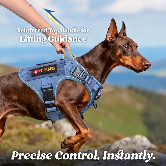 rabbitgoo Tactical Dog Harness for Large, Heavy Duty Military No Pull Vest | Sturdy Metal Buckles, 5 Adjustments, Molle System, Powerful Pullers for Training, Hunting, Outdoor, Blue Reflex, Large