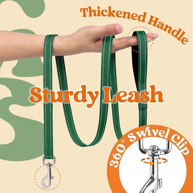 rabbitgoo Dog Harness Small Sized and Leash Set, Step in Soft Vest | Breathable Mesh, Easy Wear with Hook & Loop, Light and Reflective for Walking, Multi-colored, Orange & Dark Green, XXS
