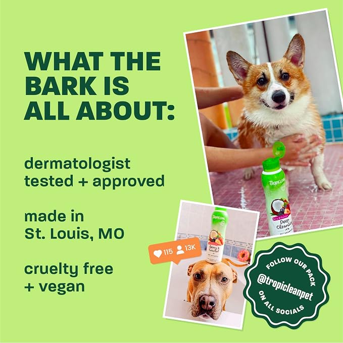 TropiClean Mango & Kiwi Dog Shampoo, 3X Longer Lasting Scent, 20oz | dog shampoo