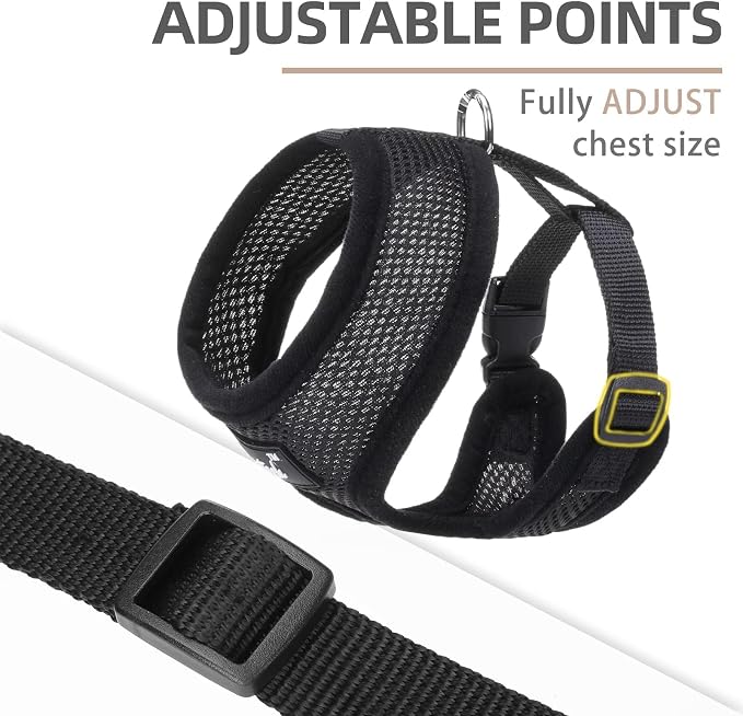 PUPTECK Soft Mesh Dog Harness and Leash Set Pet Puppy Cat Comfort Padded Vest No Pull Harnesses, Solid Black, XS