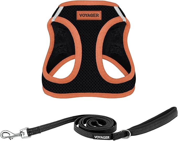 Best Pet Supplies Voyager Step-in Air All Weather Mesh Harness and Reflective Dog 5ft Leash Combo with Neoprene Handle, for Small, Medium and Large Breed Puppies - Black/Orange Trim, Large
