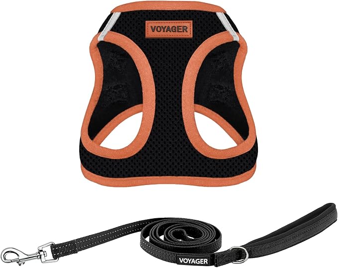 Best Pet Supplies Voyager Step-in Air All Weather Mesh Harness and Reflective Dog 5 ft Leash Combo with Neoprene Handle, for Small, Medium and Large Breed Puppies - Black/Orange Trim, Small