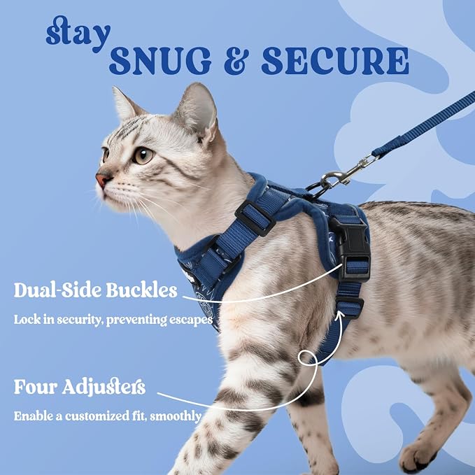 rabbitgoo Cat Harness and Leash Set, Escape Proof Vest, Cosmic Ace | Soft Breathable Mesh, Easy Adjustable Fit, Snap Buckles, Sturdy Clip, Reflective Strips, for Small & Average Cats Walks, Xs