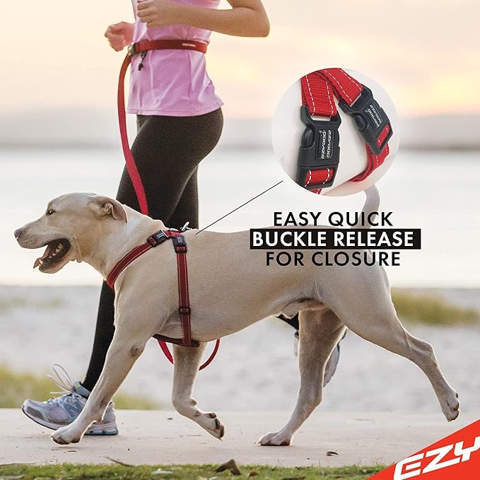 EzyDog Chest Plate No Pull Dog Harness, Escape Proof - X-Small, Denim | Car Restraint Included, Comfort EVA Padding, Adjustable for All Breeds, Quick Release Buckles, Reflective Stitching