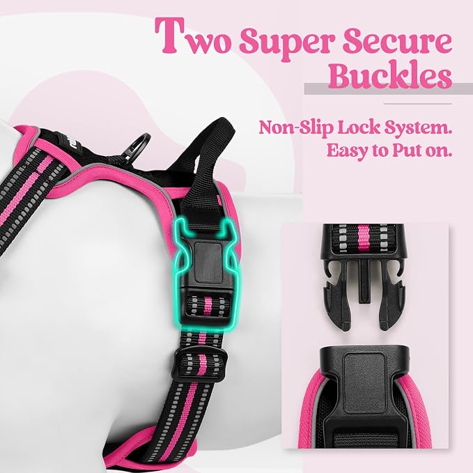 rabbitgoo Dog Harness, No Pull for Small Dogs with 2 Leash Clips, Pet Vest | No Choke with Handle, Adjustable Soft Padded, Reflective, Easy Control for Walking, Black & Hot Pink, Small