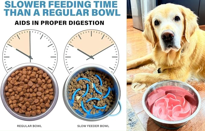 Slow Feeder Dog Bowl Insert – Silicone Anti-Choke Design with Suction Cups | Fits Most Bowls | Includes 3 Finger Toothbrushes for Pet Dental Care | Blue, Pink, Black