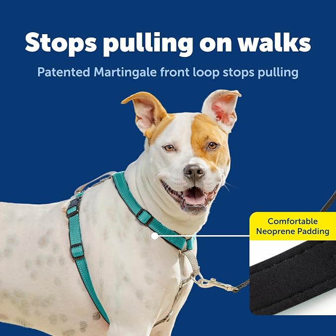 PetSafe 3 in 1 No-Pull Dog Harness - Walk, Train or Travel - Helps Prevent Pets from Pulling on Walks - Seatbelt Loop Doubles as Quick Access Handle - Reflective Accents - Medium, Teal | Rests on Chest Not Throat to Reduce Pulling, 5 Adjustment Points,...