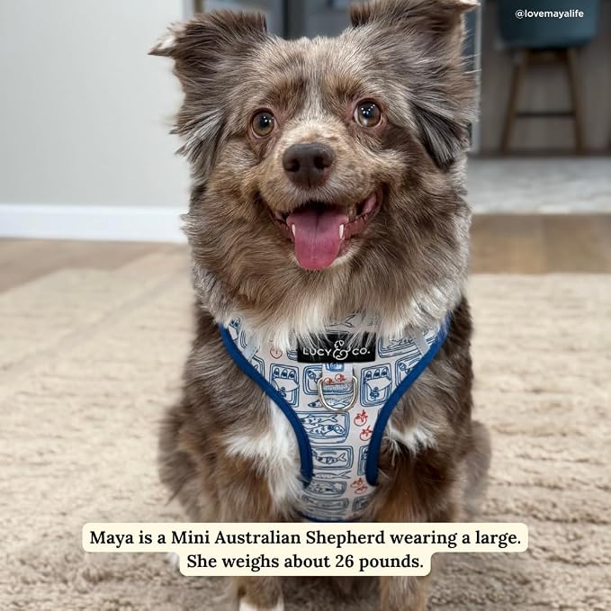 Lucy & Co. Tinned Fish No-Pull Dog Harness, Adjustable Front Clip Harness with Comfort Padding, Medium