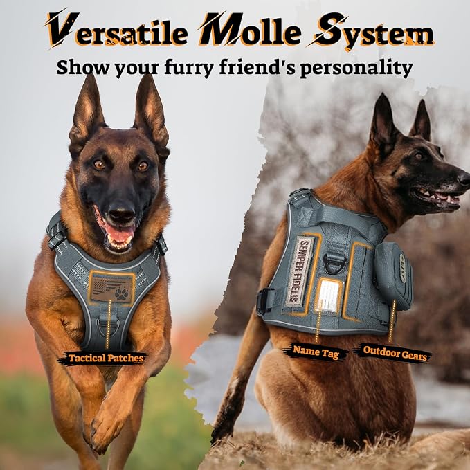 rabbitgoo Tactical Dog Harness for Large Dogs, No Pull Service Pet Vest | Military Molle System & Easy Control Handle, Adjustable and Reflective for Walking and Training, Grey, X-Large