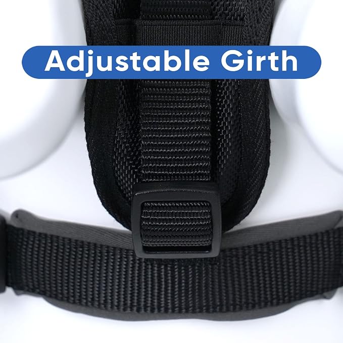 Pawtitas Reflective Padded Dog Harness for Small Dogs – Adjustable Puppy Step-in Vest | Fits Chest 18–22 in | No Pull Training Harness | S | Black