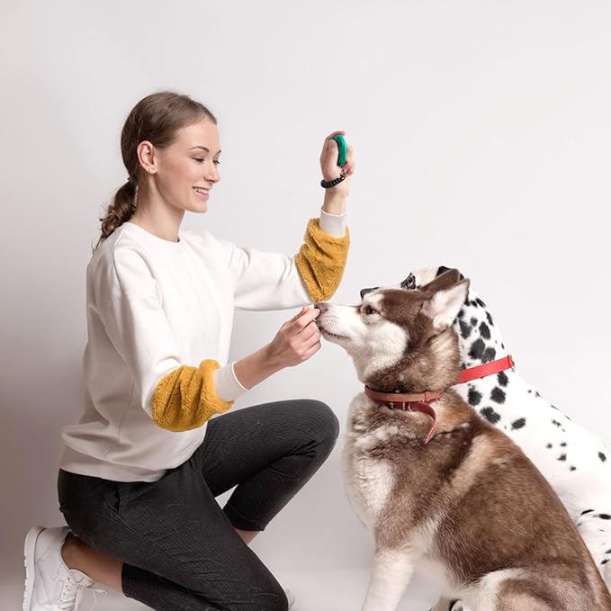 Quacc Dog Training Clickers, 2 Pcs, with Wrist Strap, Black & Green